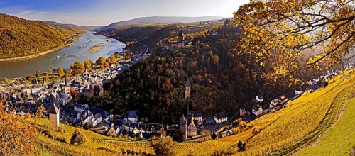 View of Bacharach and the Rhine in autumn, UNESCO World Heritage Upper Middle Rhine Valley,