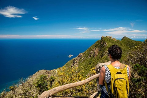 Panorama of Cabezo del Tejo, coast near Taganana, Anaga Mountains, Anaga, Tenerife, Northeast,