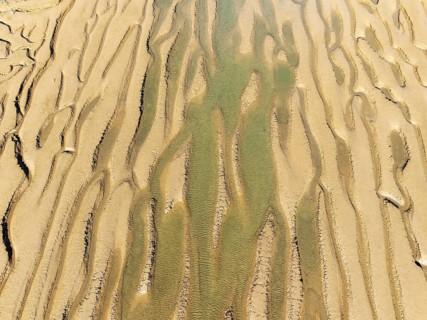 Network of channels and streams at low tide. In the marshland adjacent to the Odiel river. Aerial