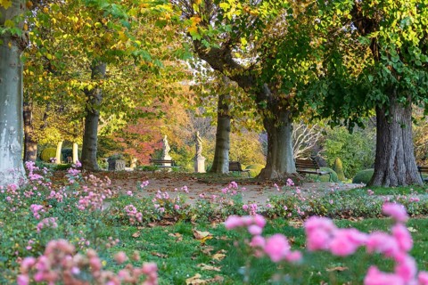 Plane trees and sandstone figures in the castle park at the baroque castle Diesbar-Seußlitz in