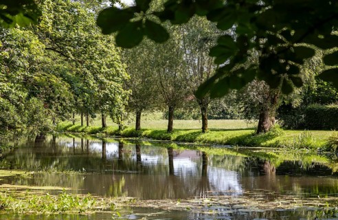 A calm river flows through a green landscape, lined with trees that are reflected in the water,