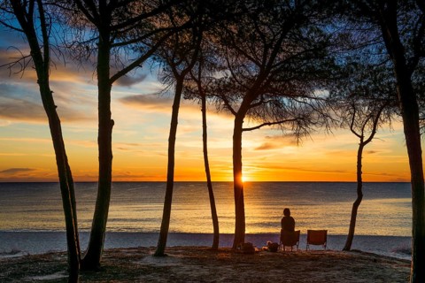 Lonely sandy beach and pine forest, Spiaggia di Isula Manna, sunrise, Santa Maria Navarrese, Gulf