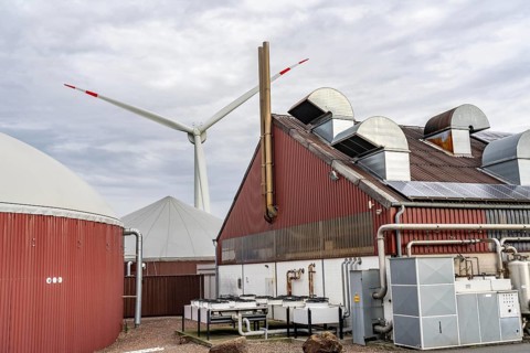 Biogas plant produces gas from various biomass, electricity is generated in combined heat and power