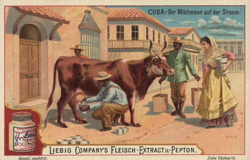 Picture series Scenes from Cuba, milkman on the street with a cow, Liebig picture, digitally