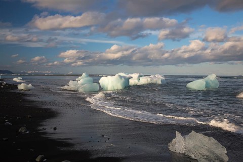 Little icebergs and crushed ice on the black beach at Joekulsarlon glacial lake