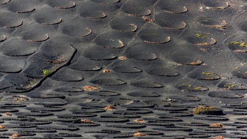2016, La Geria, Lanzarote, La Geria, ESP, Spain, Canary Islands, Canary Islands, Atlantic Ocean,