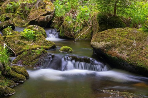 Kleine Ohe creek below Waldhaeuser village in the Bavarian Forest Nationalpark. Flowing water,