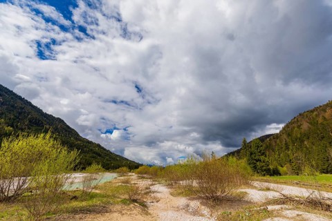 Isar valley nature conservancy area. The wild Isar river flows through its gravel bed past