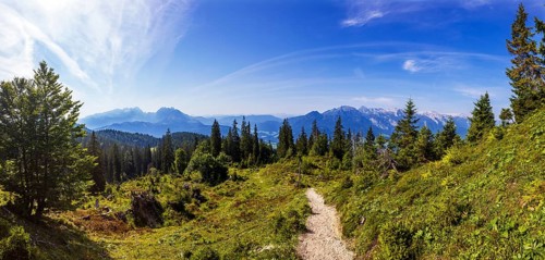 Wanderweg durch einen Gebirgswald zum Gipfel des Taborberg mit Blick zum Tennengebirge und