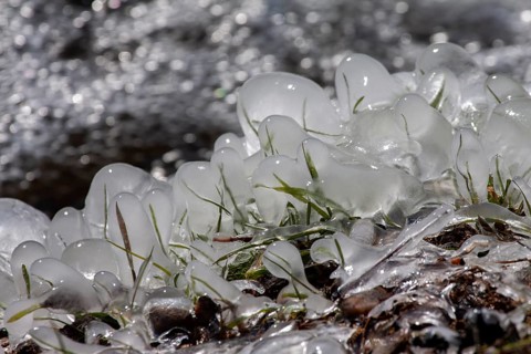 Frozen grass covered with ice, shining in the winter nature, Palatinate, Rhineland-Palatinate,