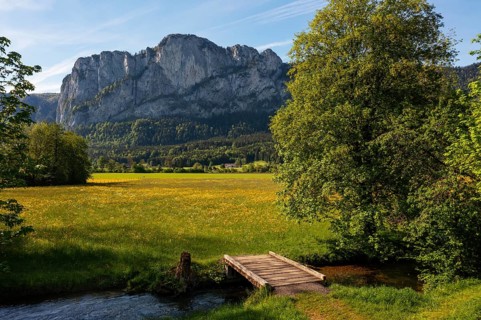 Fuschler Ache and spring flower meadow with Drachenwand, Mondseeland, Salzkammergut, Upper Austria,