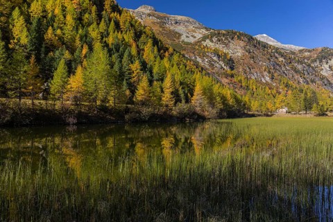 Little pond of the Malta river with a mountain forest in fall foliage on a bright sunny morning.