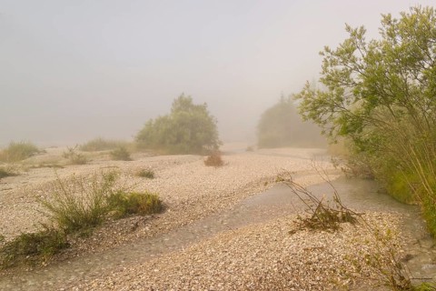 Isar valley nature conservancy area. The wild Isar river flows through its gravel bed past