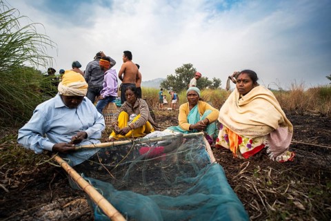 Villagers participate in a community fishing event on the occasion of the Bhogali Bihu festival at