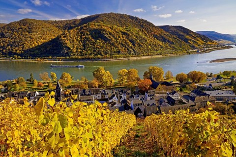 View of Bacharach on the Rhine in autumn, UNESCO World Heritage Upper Middle Rhine Valley,