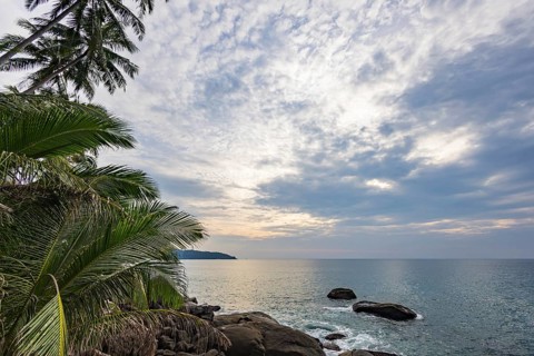 Wild beach with surf on the coast facing the Indian Ocean. Palm trees and high waves at sunset.