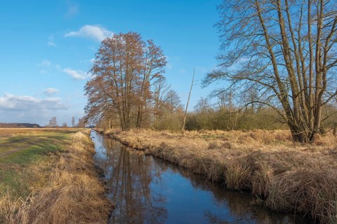 View of the vegetation along the Fangegraben at the Steinhuder Meer, ditch, trees, landscape photo,