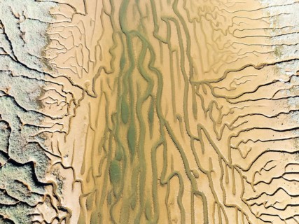 Network of channels and streams at low tide. In the marshland adjacent to the Odiel river. Aerial