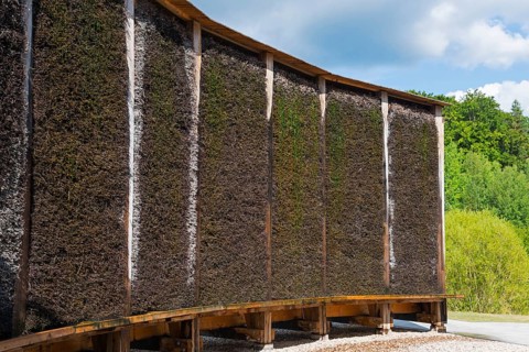 Elongated Kneipp facility with wooden structure, surrounded by green foliage and sky, brine,