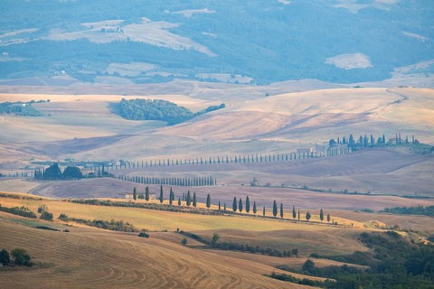 Typical Tuscan landscape in Val d'Orcia with hills, trees, fields, farmhouses and cypresses in