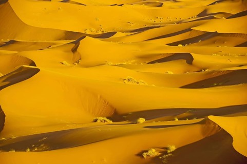 Sand dunes, Erg Chebbi, Sahara, Southern Morocco, Morocco, Africa