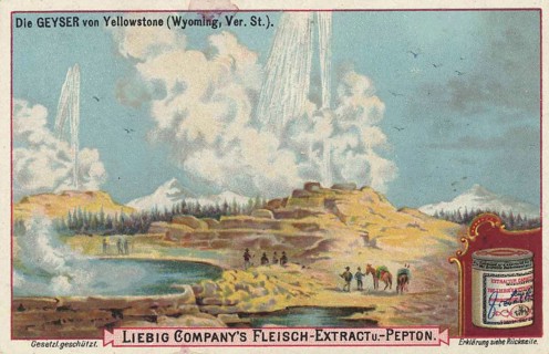 Picture series volcanic landscapes, the geyser, geyser, of Yellowstone, Wyoming, America, Liebig