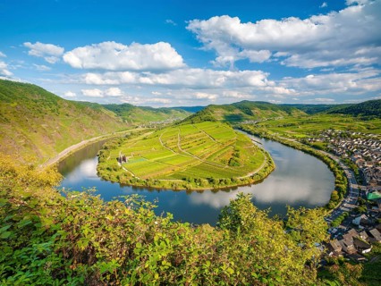 View of the Moselle bend at Bremmer Calmont, Bremm, Moselle valley, Rhineland-Palatinate, Germany,