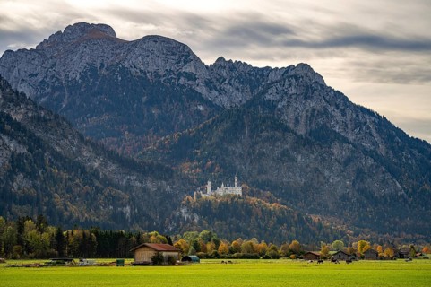 Neuschwanstein Castle in the landscape of Schwangau, Allgäu, Bavaria, Germany, Europe