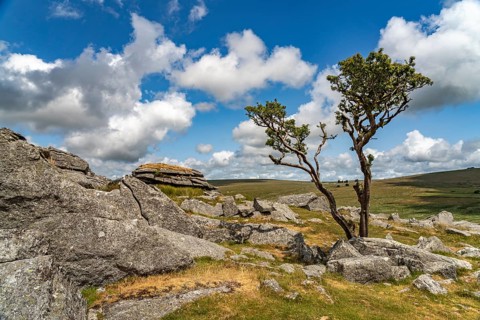 Landscape at the rock formation King's Tor tor in Dartmoor, Devon, England, Great Britain