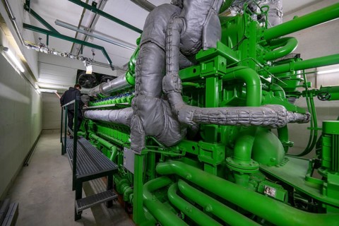Biogas plant, gas-powered engine for electricity production, generator, in combined heat and power