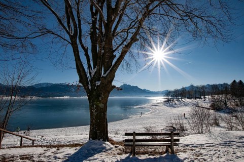Winter idyll on Lake Forggensee in the Allgäu, in the background the Säuling (2047 m) near Füssen,