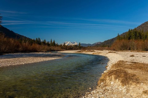 Isar valley nature conservancy area. The wild Isar river flows through its gravel bed past