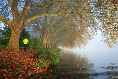 Essen, North Rhine-Westphalia, Germany, Golden autumn at Lake Baldeney. Cyclists and joggers in the