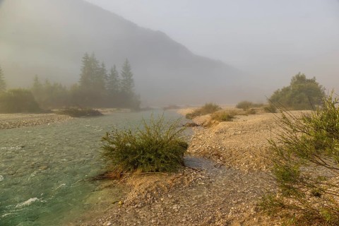 Isar valley nature conservancy area. The wild Isar river flows through its gravel bed past