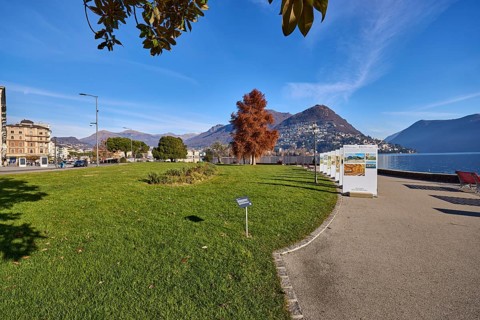 Belvedere garden, lake, park with lawn, trees, lakeside promenade, hill, Riva Vincenzo Vela street,