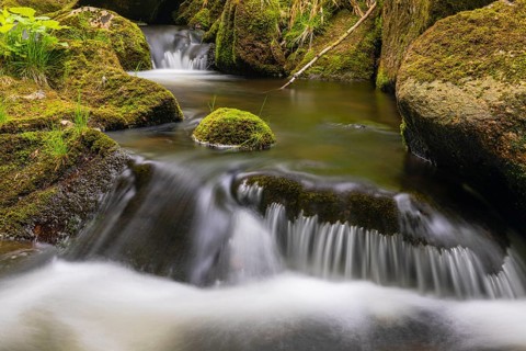 Kleine Ohe creek below Waldhaeuser village in the Bavarian Forest Nationalpark. Flowing water,