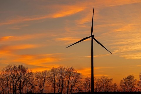 Sunset, wind power plant, trees, silhouettes, Melbeck, Samtgemeinde Ilmenau, Lower Saxony, Germany,