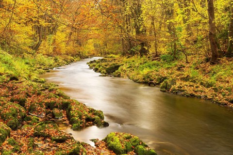 Autumn by the Schwarza river in the Schwarzatal nature reserve between Bad Blankenburg and