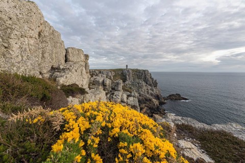 Rocky coast of Camaret-sur-Mer in the Finistère department in northwestern France, with yellow