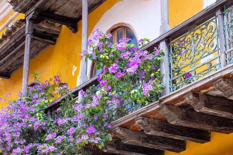 Columbia, Unesco site, colorful Cartagena Walled City Cuidad Amurrallada in historic city center.