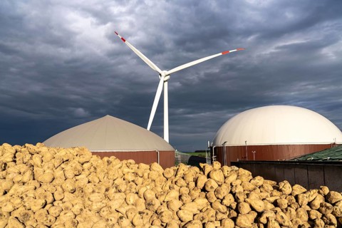 Biogas plant produces gas from various biomass, here the sugar beet storage, the electricity is