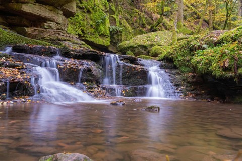Small waterfall in a moss-covered forest with autumn leaves, Monbachtal, Bad Liebenzell, district