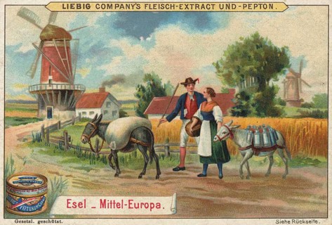 Picture series Animals of the countries, donkeys from Central Europe, Liebig picture, digitally