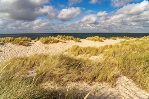 Dune landscape on the coast of Ellenbogen near List, island of Sylt, district of North Friesland,
