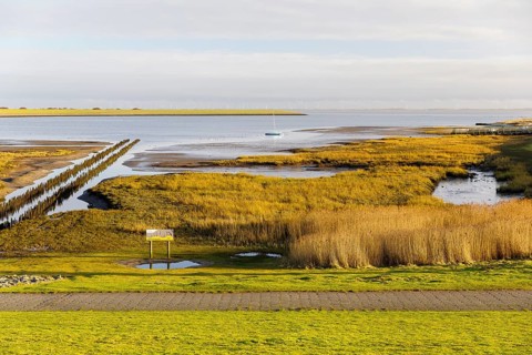 Mudflats on the south beach at low tide, in the background the south beach polder dyke, Norderney,