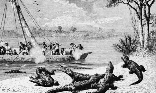 Hunting with a rifle for alligators and crocodiles in the South American tropics, European