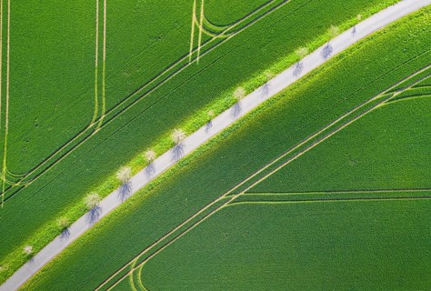 Pattern of path and tractor tracks in a field, aerial view like leaf structure, Rochlitz, Saxony,