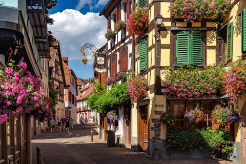 Colourful floral decorations in the old town of Ribeauville, Alsace, France, Europe