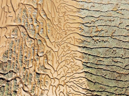 Network of channels and streams at low tide. In the marshland adjacent to the Odiel river. Aerial