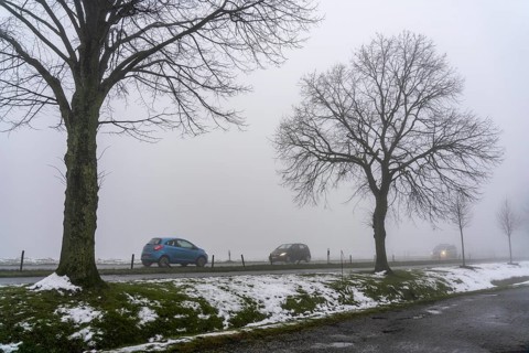 Dense fog, with visibility sometimes less than 100 metres, country road, Meisenburgstraße, in